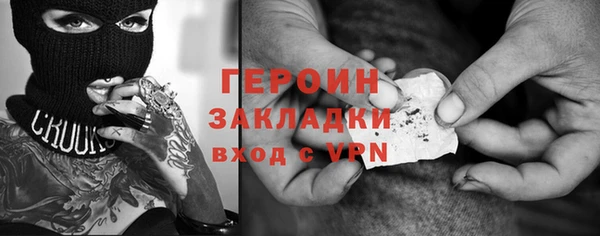 спиды Ельня
