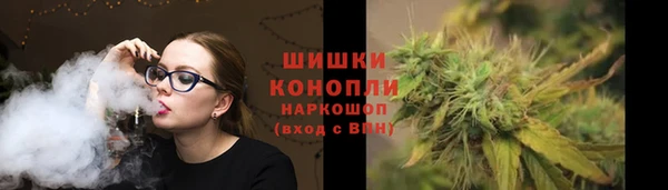 спиды Ельня