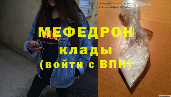 спиды Ельня