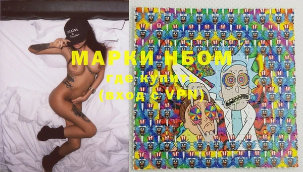 спиды Ельня
