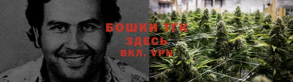 эйфоретик Елизово