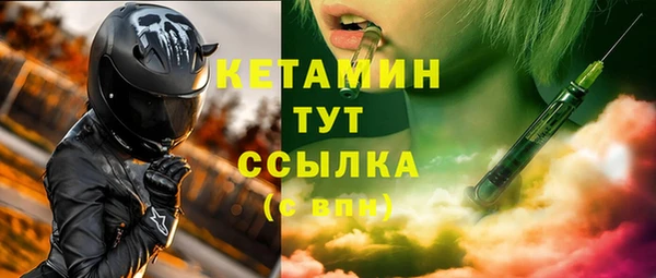 спиды Ельня